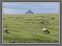 12.9 Mont St Michel, with pre-sale (meadow salted) lamb