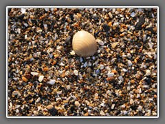 3.13 St Martin de Btrehal, beach gravel2011-11 13